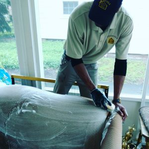 Mattress cleaning