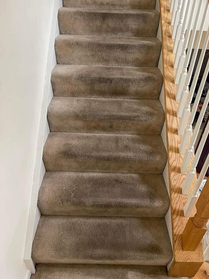 Pensicola Carpet Cleaning stairs