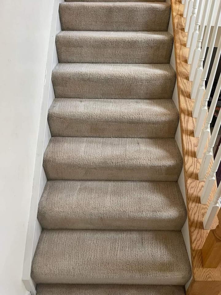 Pensicola Carpet Cleaning stairs